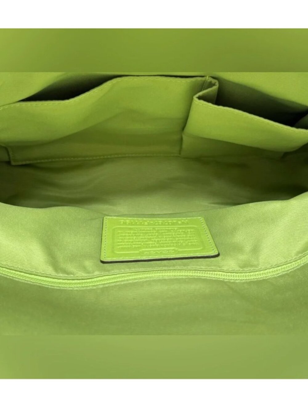 920 Coach Hampton Buckle Flap Crossbody Bag Pistachio Silver F11196 RARE - Picture 13 of 15